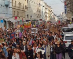 Panzer statt Frauenhäuser?